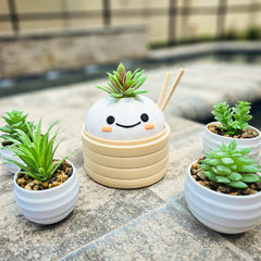 Cute Kawaii Succulent Plant Pot | Happy Kawaii Dim Sum Planter | Kawaii Dumpling Planter | Gift For Foodie Friend | Kawaii Home Decor