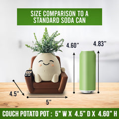 Cute Kawaii Succulent Pot Couch Potato