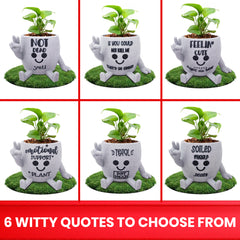 Thumbs Up Succulent Pot With Witty Quotes | Quirky Indoor Plant Pot Gift For Friend | Funny Plant Pot 4.75in Wide | Office Colleague Gift