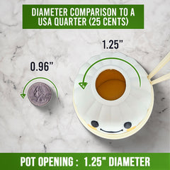 Cute Kawaii Succulent Plant Pot | Happy Kawaii Dim Sum Planter | Kawaii Dumpling Planter | Gift For Foodie Friend | Kawaii Home Decor