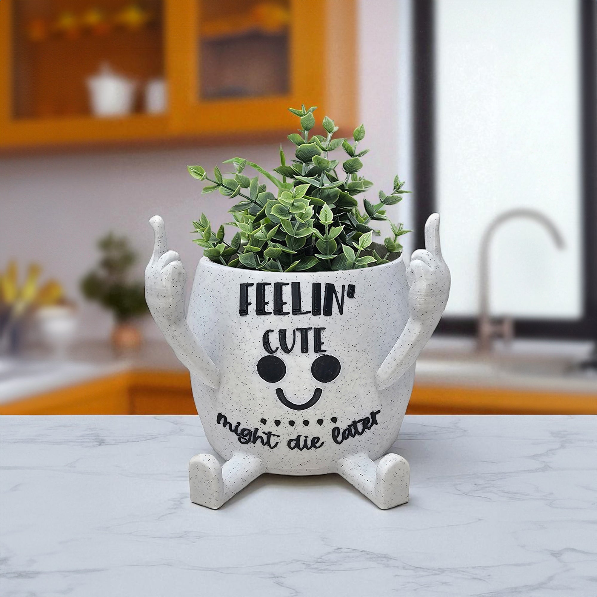 Middle Finger Succulent Pot Witty Quotes | 3D Printed Happy Planter