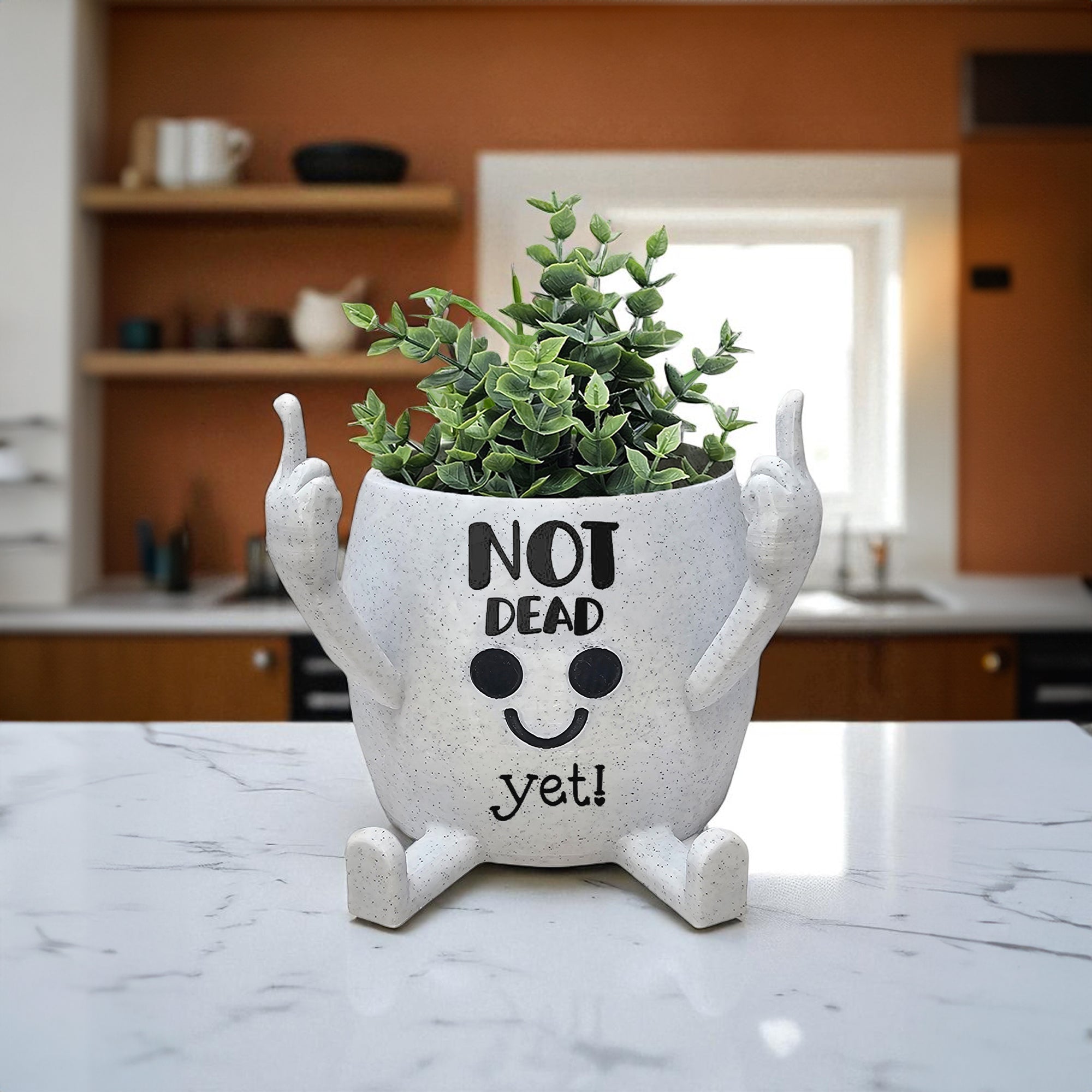 Middle Finger Succulent Pot Witty Quotes | 3D Printed Happy Planter