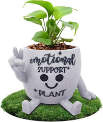 Thumbs Up Succulent Pot With Witty Quotes