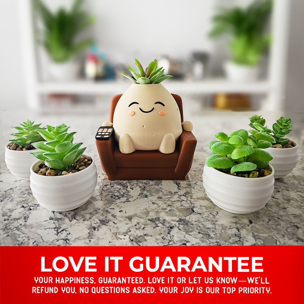 where to buy cute succulent pots Cute Kawaii Succulent Pot Couch Potato – Celestial Creations Studio