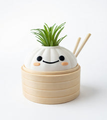 Cute Kawaii Succulent Plant Pot