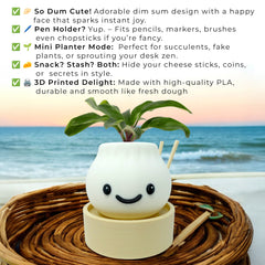 Kids Study Table Organizer Dim Sum Succulent Pot