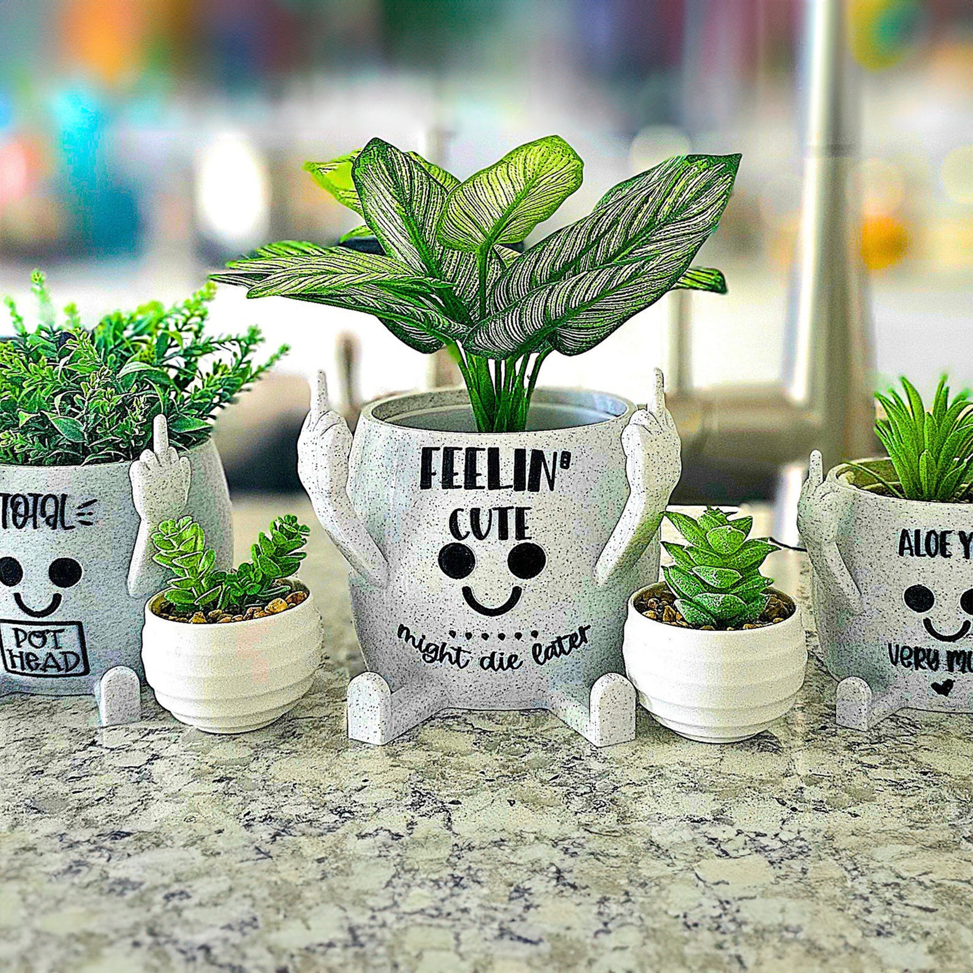 Middle Finger Succulent Pot Witty Quotes | 3D Printed Happy Planter