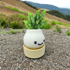 Kids Study Table Organizer Dim Sum Succulent Pot