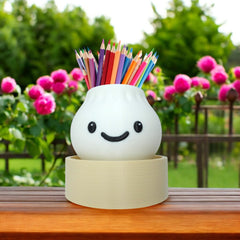 Kids Study Table Organizer Dim Sum Succulent Pot