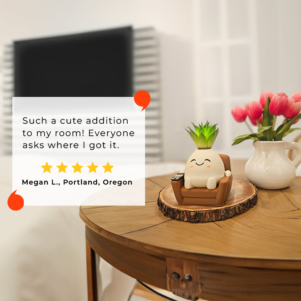 Cute Kawaii Succulent Pot Couch Potato